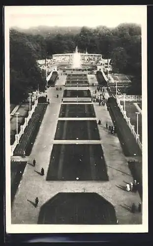 AK Dresden, Jubiläums-Gartenbau-Ausstellung 1926, Blick auf Rosenhof vom grünen Dom aus