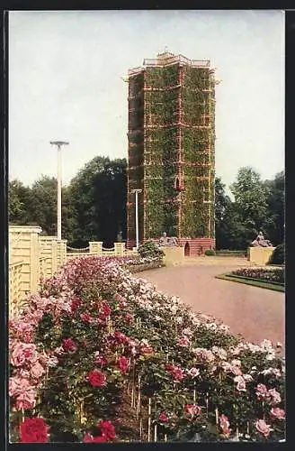 AK Dresden, Jubiläums-Gartenbau-Ausstellung 1926, Blick v. Riesengrossen Rosengarten zum Grüner Dom