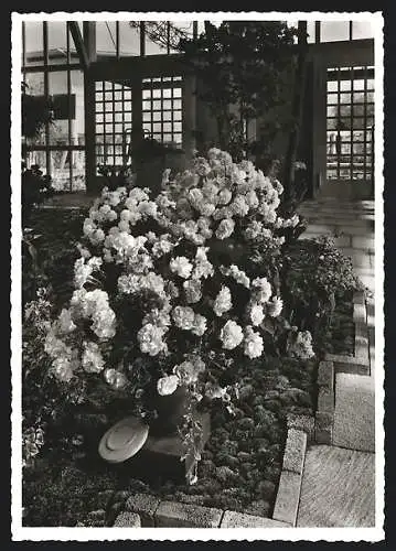 AK Zürich, Schweizerische Landesausstellung 1939, Pavillon 41, Blumenhalle