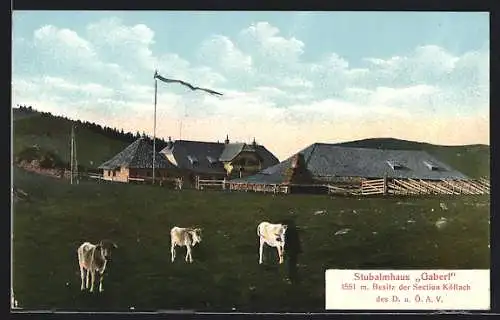AK Rinder am Stubalmhaus Gaberl