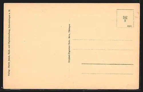 AK Schwenningen a. N., Dauchngerstrasse aus der Vogelschau, Strassenpartie