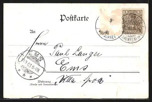 Lithographie Johanngeorgenstadt, Röder-Denkmal, Sängerspruch und Wohnhaus