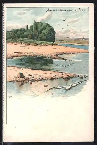 Lithographie Gauernitz / Elbe, Möwen fliegen an Insel vorbei
