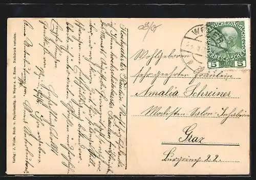 AK Weyer a. Enns, Totalansicht mit Rapoldegg