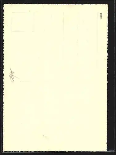 AK Weyer a. d. Enns, Ortsansicht und ein Gasthaus