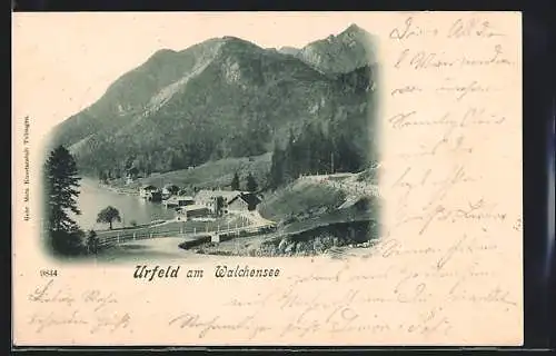 AK Urfeld am Walchensee, Ortsansicht am Wasser gegen die Berge