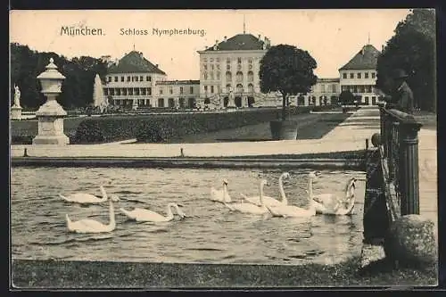AK München-Nymphenburg, Schwäne vor Schloss Nymphenburg