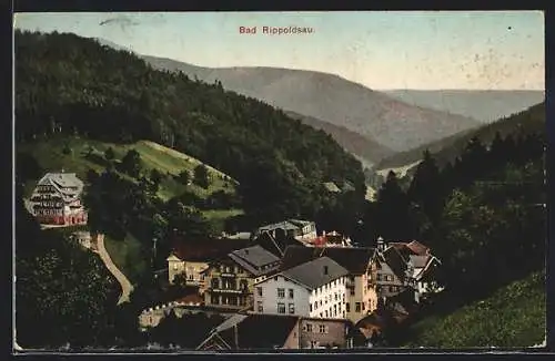 AK Bad Rippoldsau, Teilansicht aus der Vogelschau