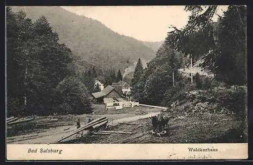 AK Bad Sulzburg, Blick hin zum Waldkurhaus