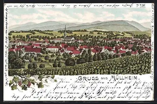 Lithographie Müllheim, Totalansicht vom Weinberg gesehen