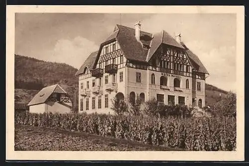 AK Rossatz, Hotel Haindl mit Weinberg