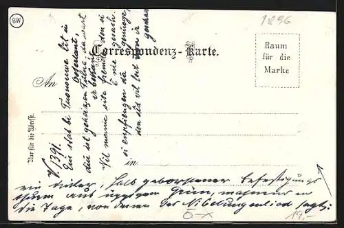 Lithographie Tulln, Uferpartie mit Brücke und Dampfer, St. Pöltnertor, Stadtturm