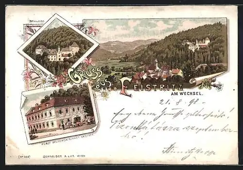 Lithographie Feistritz am Wechsel, Fürst Solkowskirchner Gasthof, Schloss, Ortsansicht