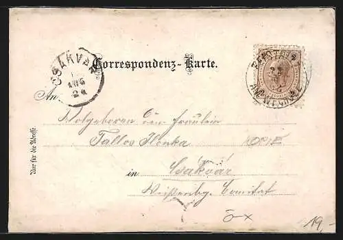 Lithographie Feistritz am Wechsel, Fürst Solkowskirchner Gasthof, Schloss, Ortsansicht