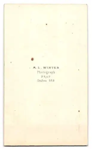 Fotografie M. L. Winter, Prag, Herr im Anzug mit Fliege und Mustasch