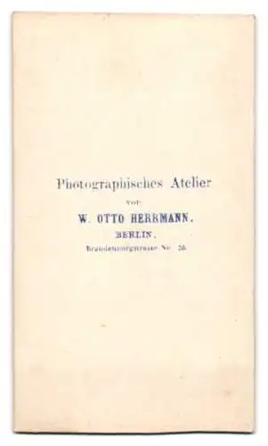 Fotografie W. Otto Herrmann, Berlin, Herr im dunklen Anzug mit Fliege und Mustasch