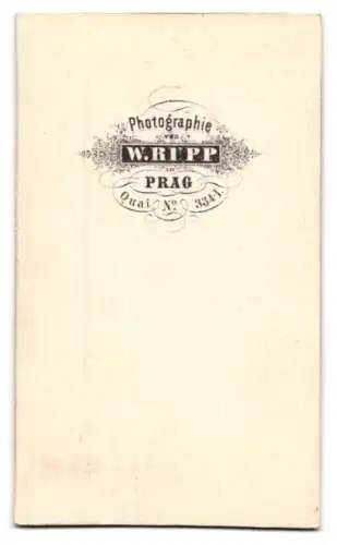 Fotografie W. Rupp, Prag, Herr in karierter Hose mit Anzug und Vollbart