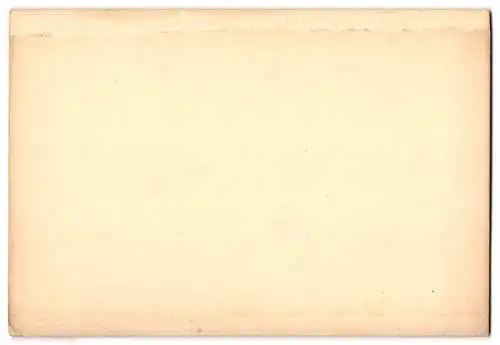 Fotografie unbekannter Fotograf, Ansicht Wien, Blick nach dem K. u. K. Hofmuseum