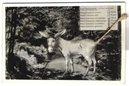 Mechanische-AK Esel-Barometer zum Aufhängen im Freien