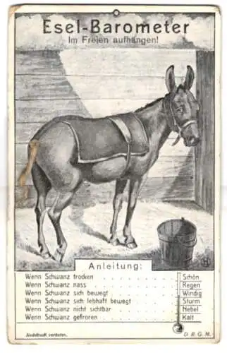 Mechanische-AK Esel-Barometer, Meteorologie