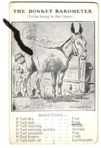 Mechanische-AK Donkey Barometer, Meteorologie