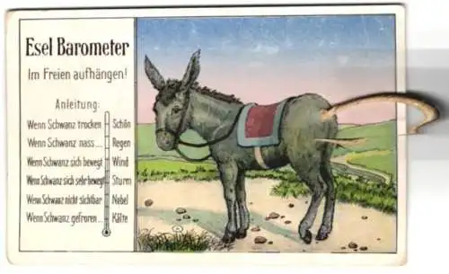 Mechanische-AK Esel-Barometer, Meteorologie