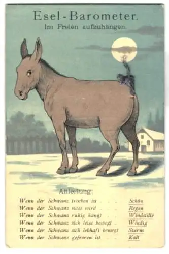 Mechanische-AK Esel-Barometer, Meteorologie