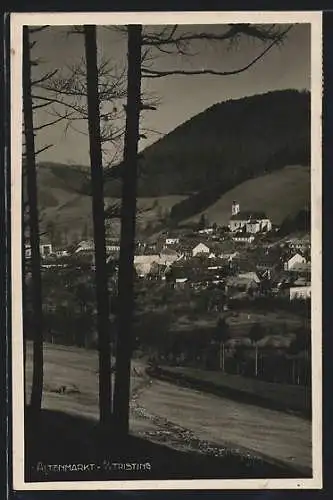 AK Altenmarkt a. d. Triesting, Teilansicht mit Kirche