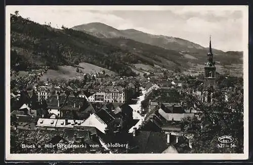 AK Bruck a. Mur, Ortsansicht vom Schlossberg