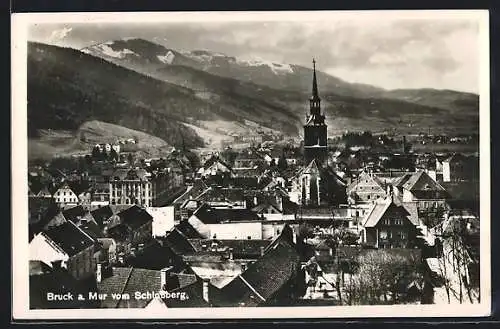 AK Bruck a. Mur, Ortsansicht vom Schlossberg