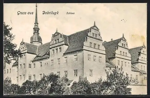 AK Dobrilugk, Das Schloss