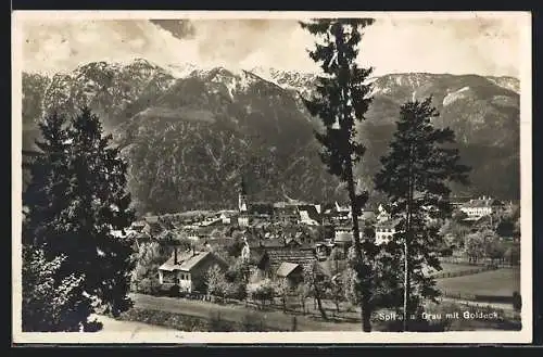 AK Spittal a. d. Drau, Ortsansicht hinter Tannen mit Goldeck