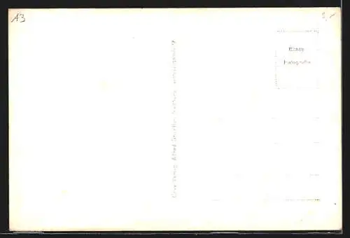 AK Bad Ischl, Ortsansicht mit Brücke