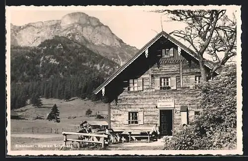 AK Schafberg, Eisenauer Alpe, Buchberghütte mit Bergblick