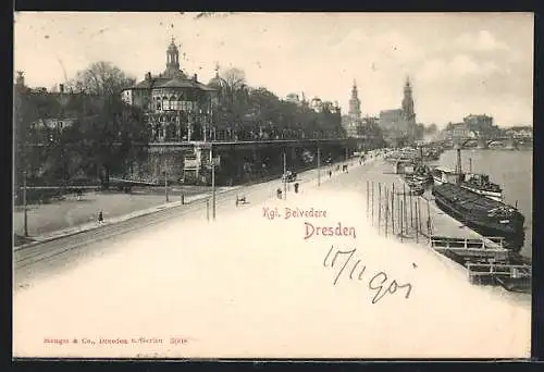 AK Dresden, Kgl. Belvedere mit Dampfern