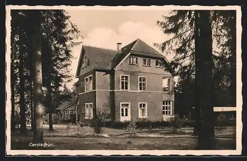 AK Carolagrün, Aussenansicht des Hauses am Waldrand