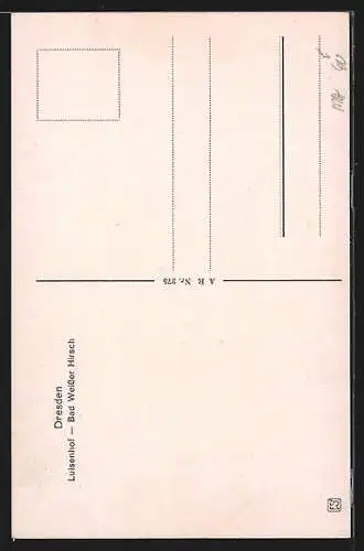 AK Dresden-Weisser Hirsch, Gasthaus Luisenhof, Dampfer auf der Elbe