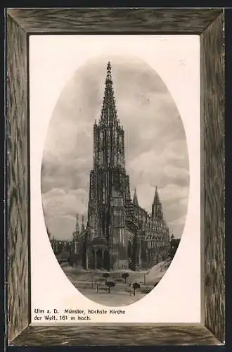 AK Ulm a. D., Münster im Passepartoutrahmen