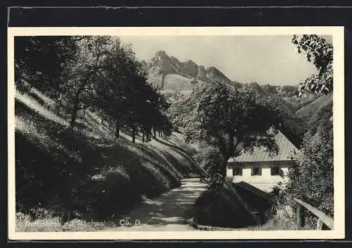 AK Ternberg, Trattenbach an der Enns, Ortspartie mit Schoberstein