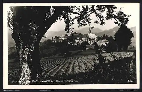 AK Maria Neustift /Gross Raming, Ortsansicht von einem Acker aus