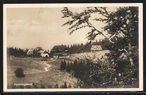 AK Feldberg /Schwarzwald, Weg zum Hotel Feldbergerhof