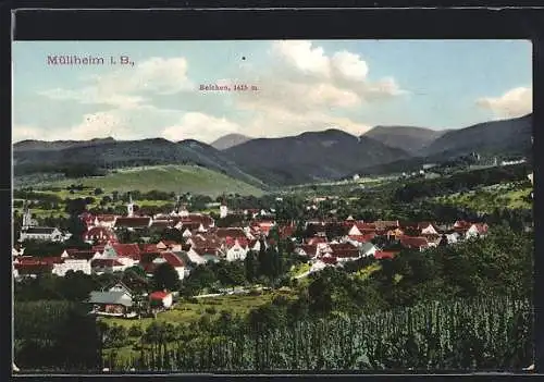 AK Müllheim i. B., Teilansicht mit Belchen