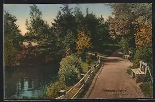 AK Schwenningen / Villingen, Neckarquelle