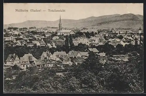 AK Müllheim /Baden, Totalansicht