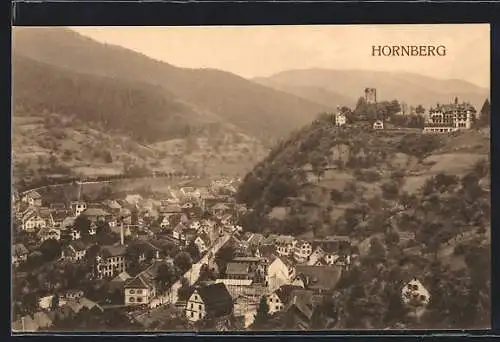 AK Hornberg / Schwarzwald, Teilansicht mit Strassenpartie