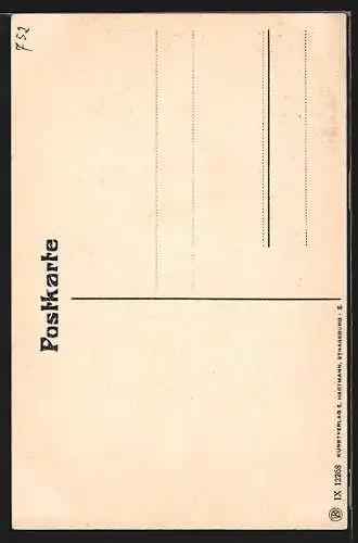 AK Karlsruhe i. B., Partie am Kaiserdenkmal