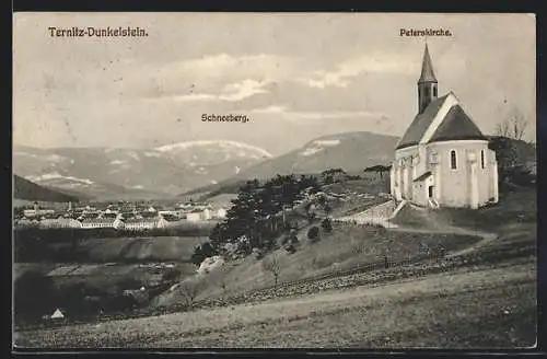 AK Ternitz-Dunkelstein, Panorama mit Peterskirche und Schneeberg