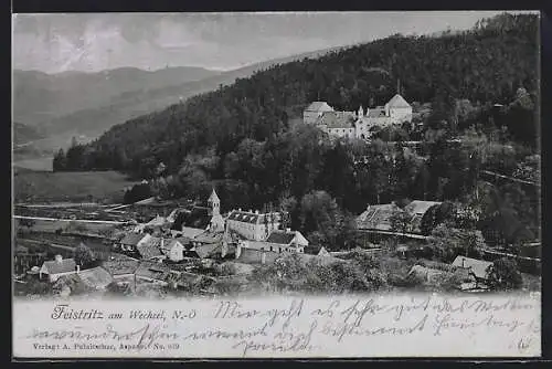 AK Feistritz am Wechsel, Teilansicht mit Kirche