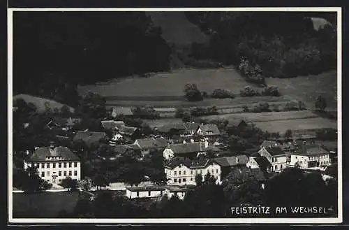 AK Feistritz am Wechsel, Teilansicht