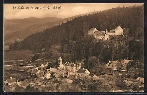 AK Feistritz am Wechsel, Teilansicht mit Kirche